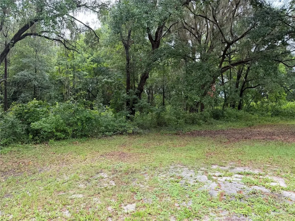 11455 NW 110th Avenue Reddick FL 32686
