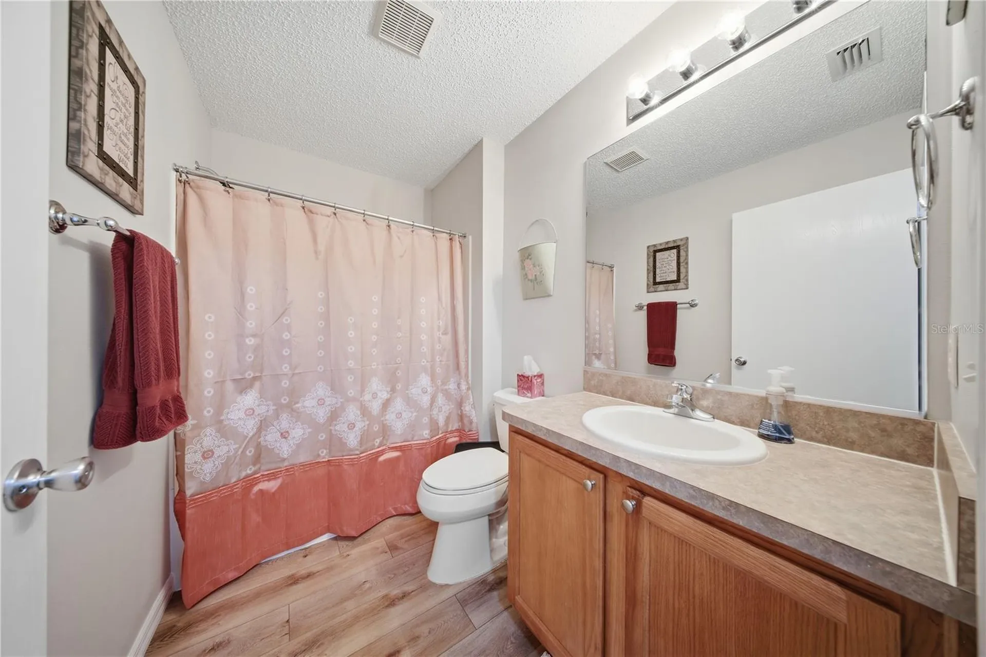 296 Emmalee Place The Villages FL 32162