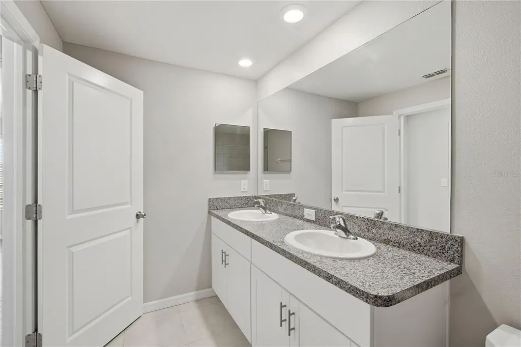 4429 Globe Thistle Drive Tampa FL 33619