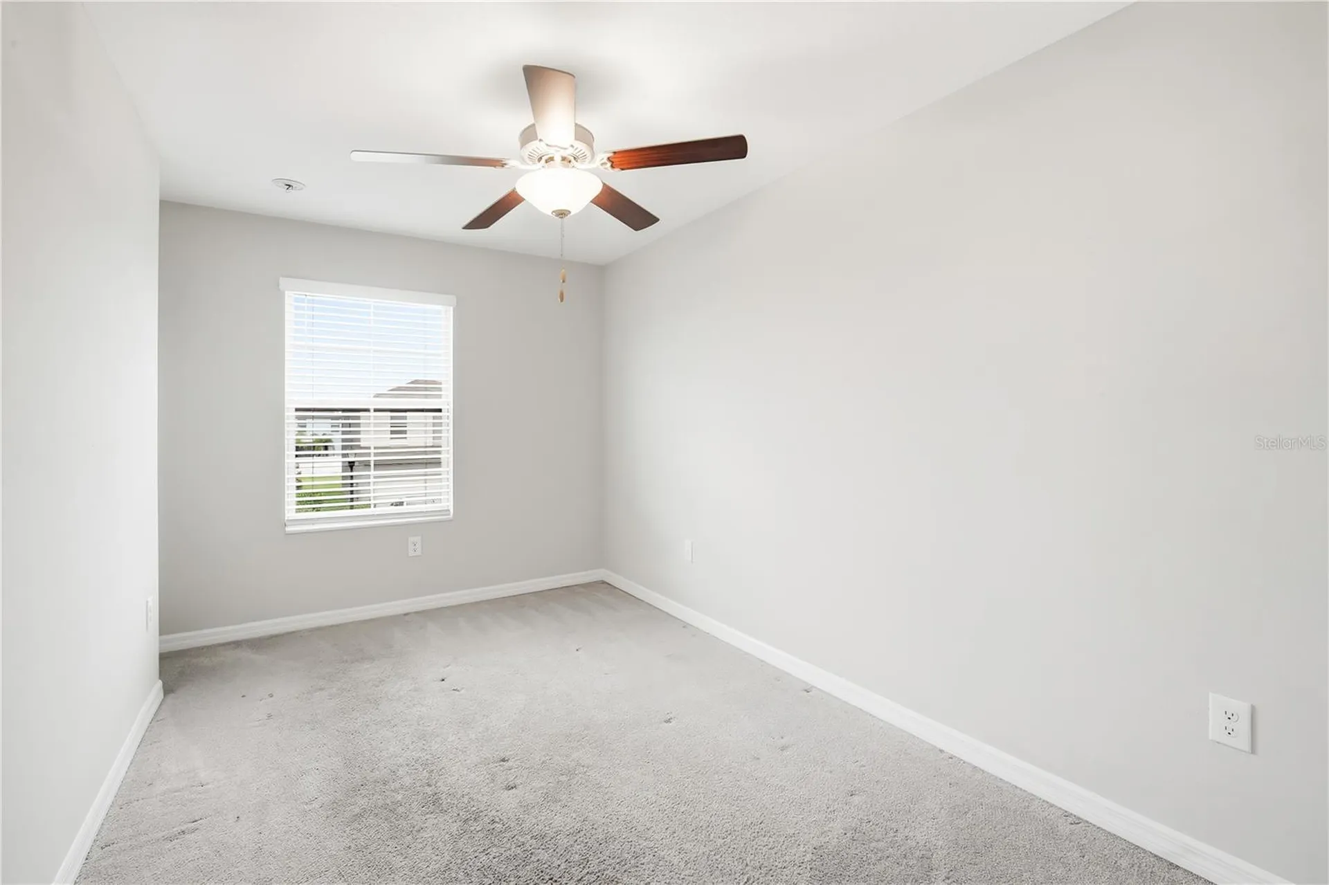 4429 Globe Thistle Drive Tampa FL 33619