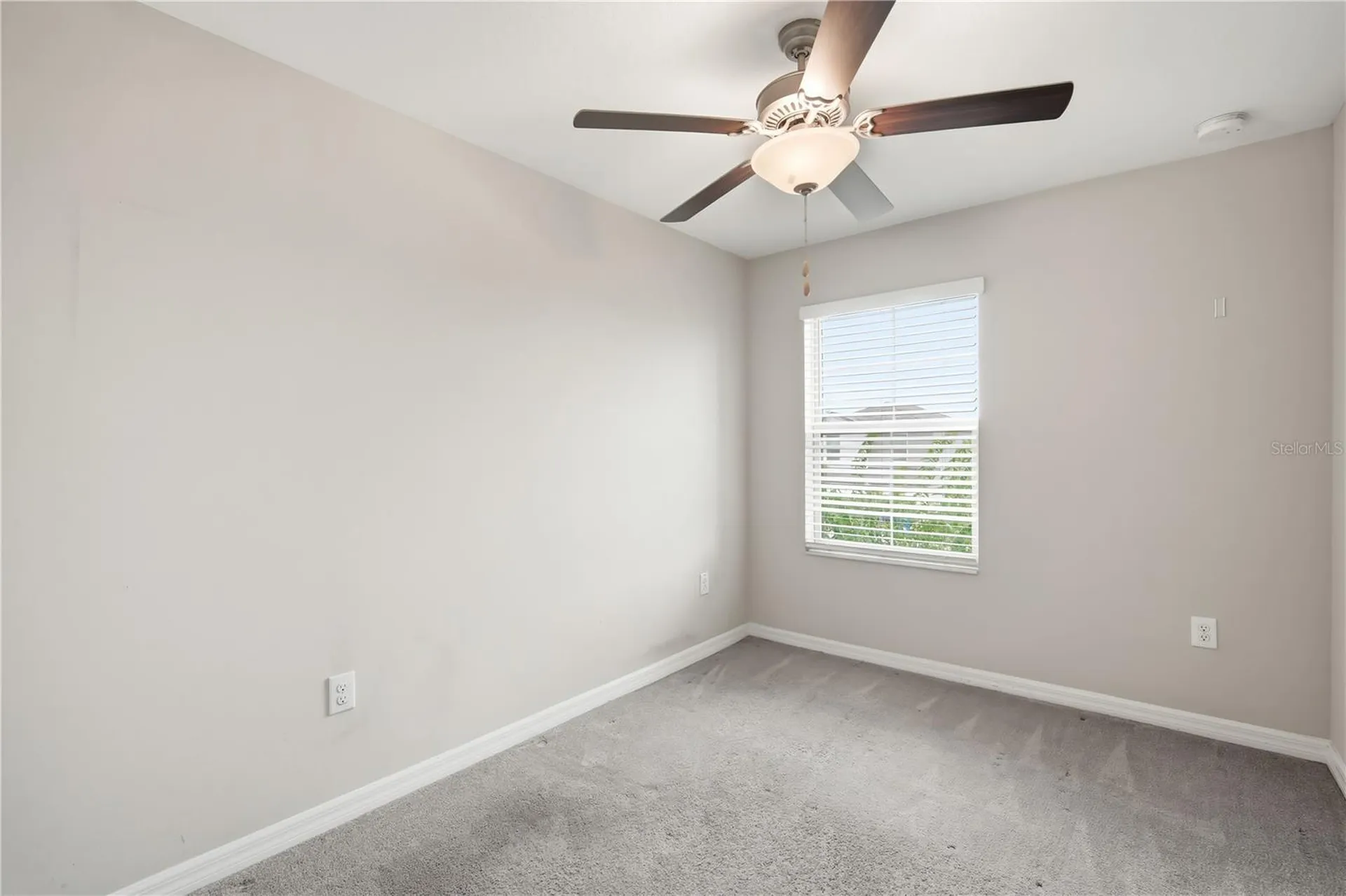 4429 Globe Thistle Drive Tampa FL 33619