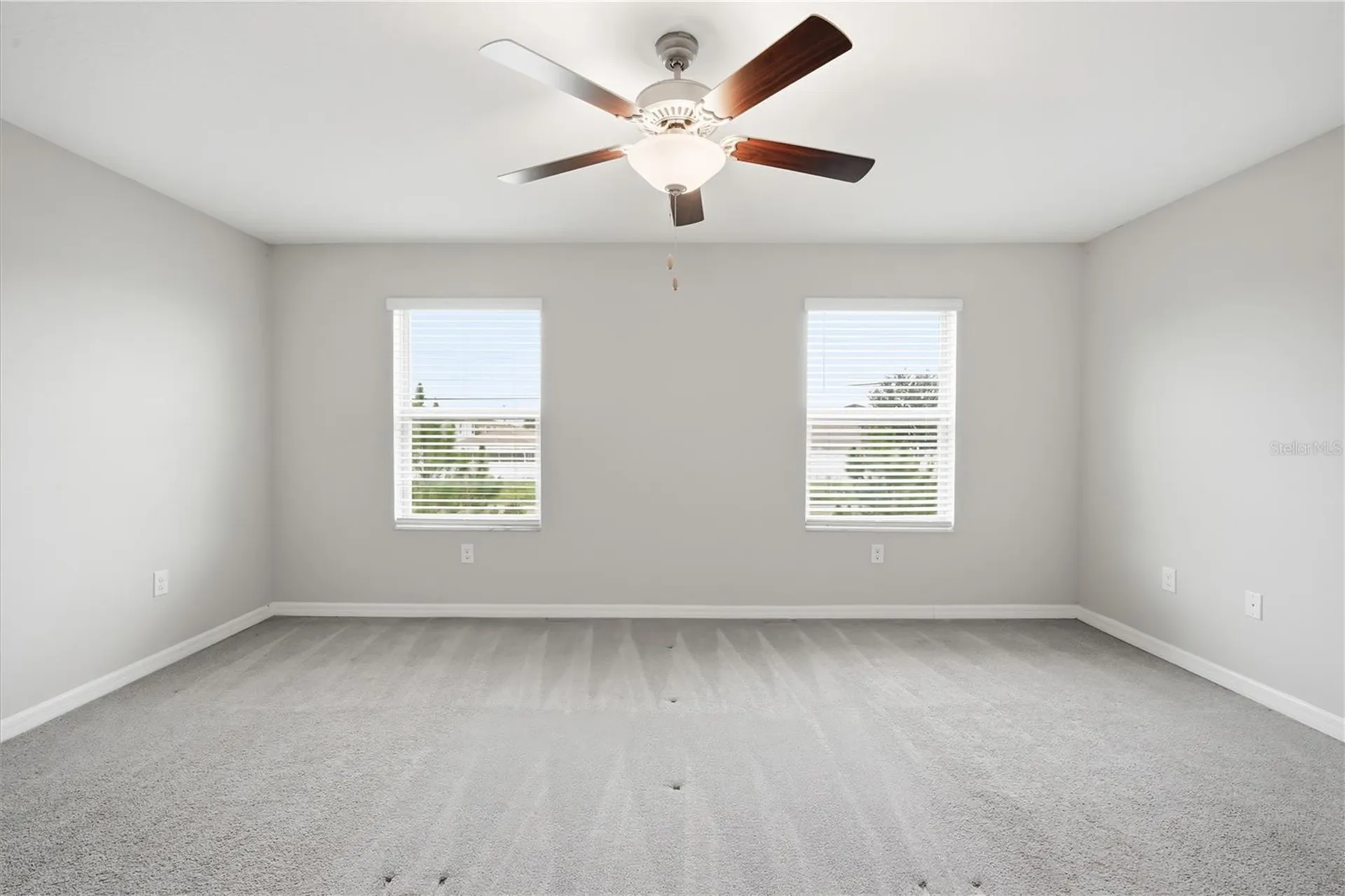 4429 Globe Thistle Drive Tampa FL 33619