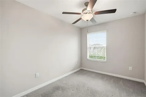 4429 Globe Thistle Drive Tampa FL 33619