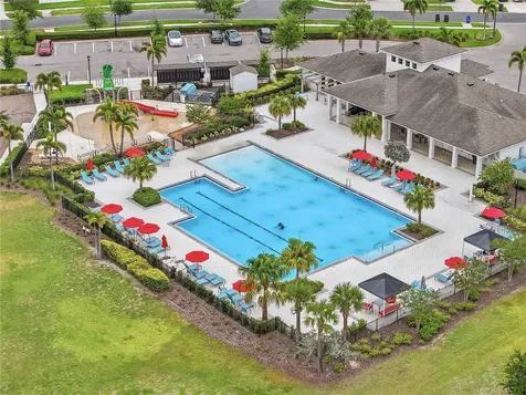 4429 Globe Thistle Drive Tampa FL 33619