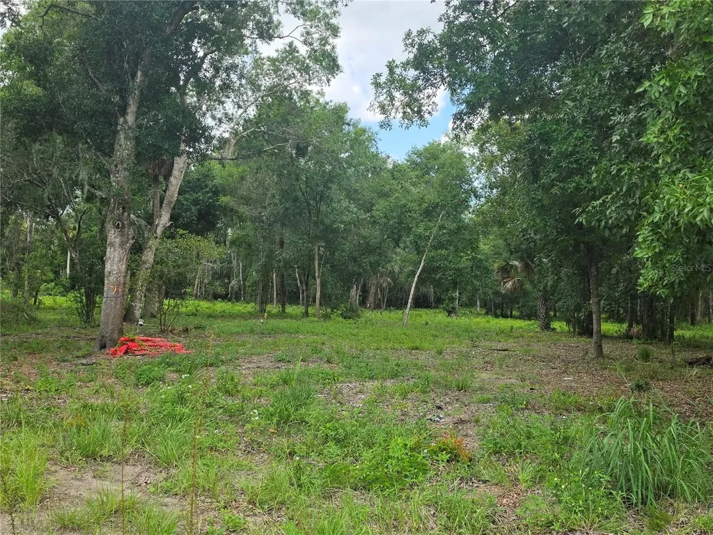180 Oak Drive Osteen FL 32764
