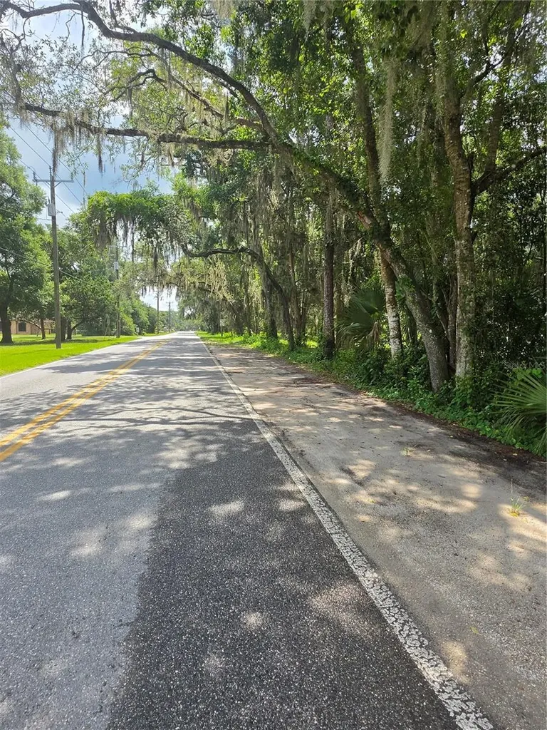 180 Oak Drive Osteen FL 32764