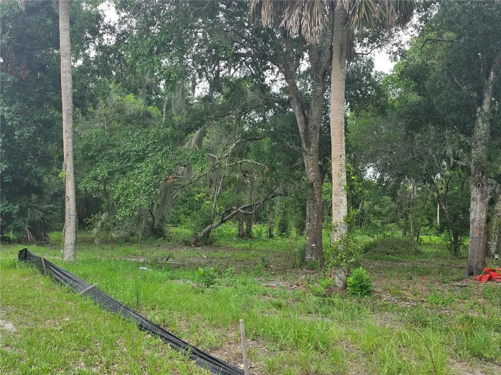 180 Oak Drive Osteen FL 32764