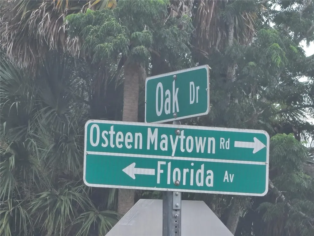 180 Oak Drive Osteen FL 32764