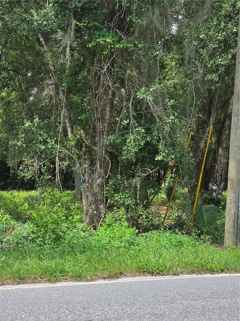 180 Oak Drive Osteen FL 32764