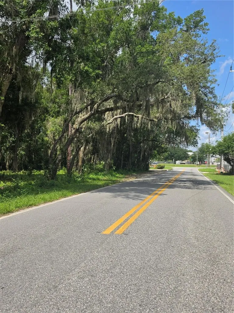 180 Oak Drive Osteen FL 32764