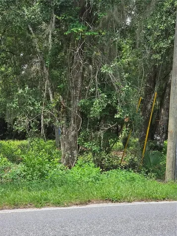 180 Oak Drive Osteen FL 32764