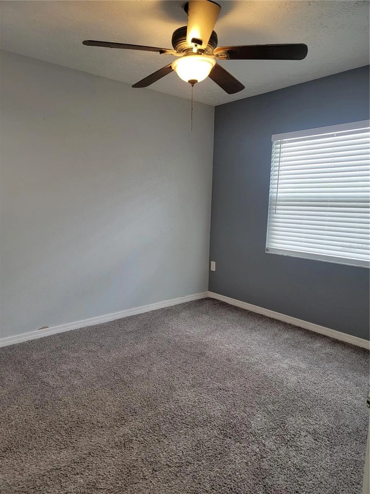 2901 Beagle Place Seffner FL 33584