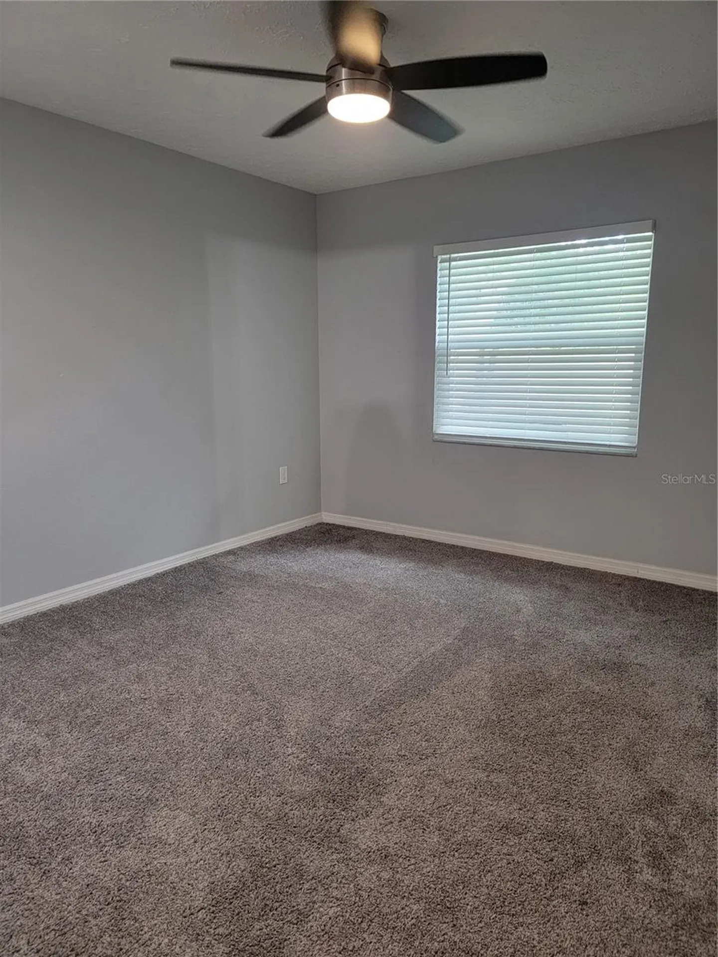 2901 Beagle Place Seffner FL 33584