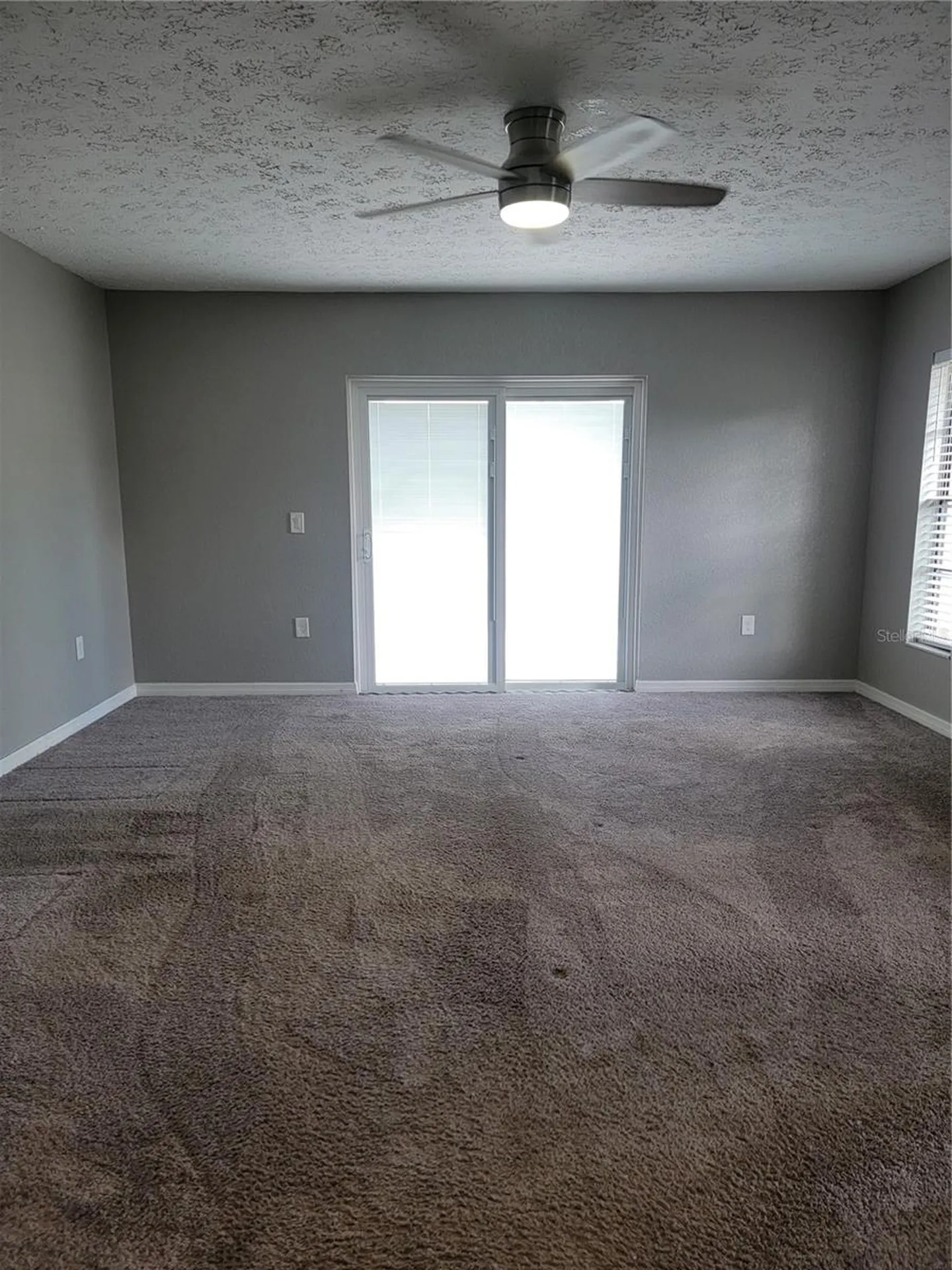 2901 Beagle Place Seffner FL 33584
