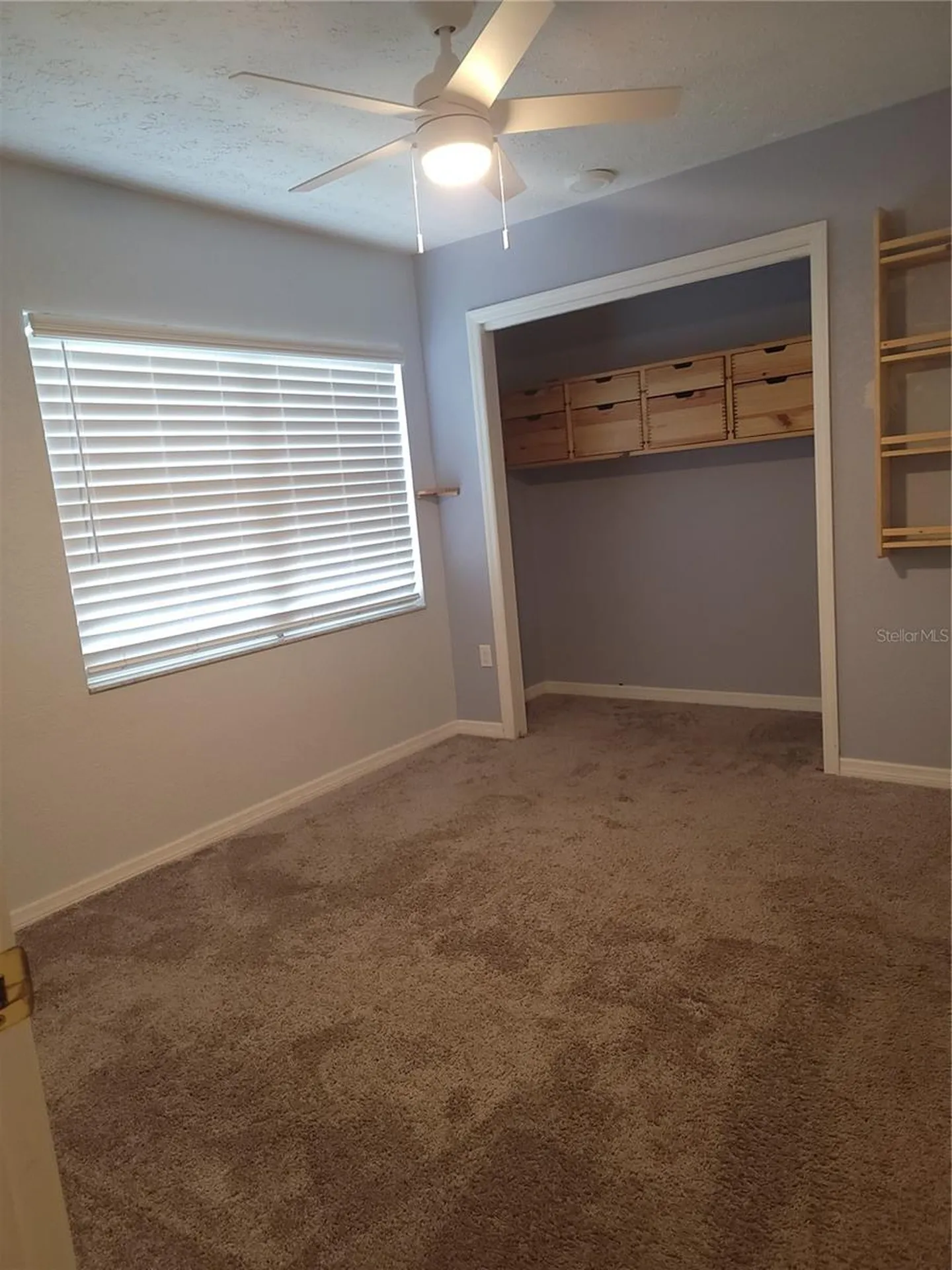 2901 Beagle Place Seffner FL 33584