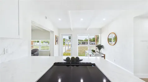 4103 W Pearl Avenue Tampa FL 33611
