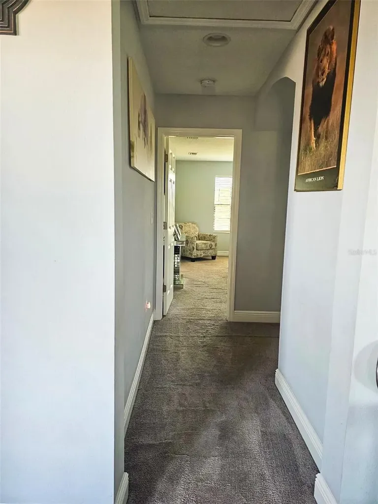 12860 Satin Lily Drive Riverview FL 33579