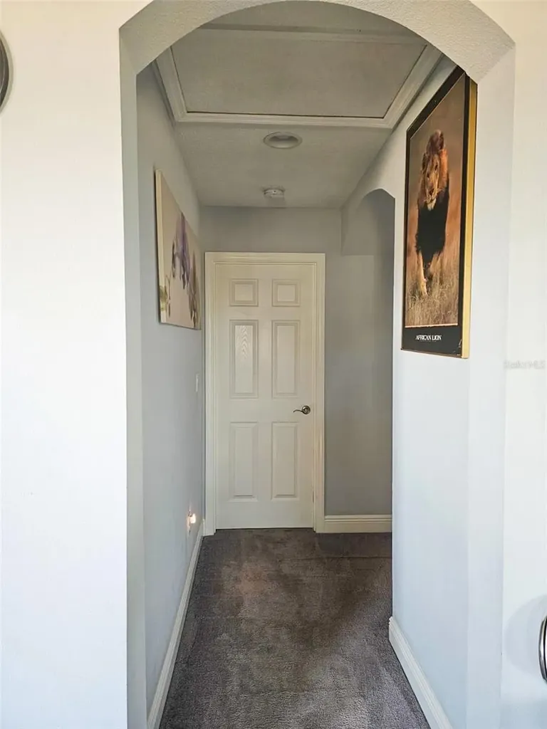 12860 Satin Lily Drive Riverview FL 33579