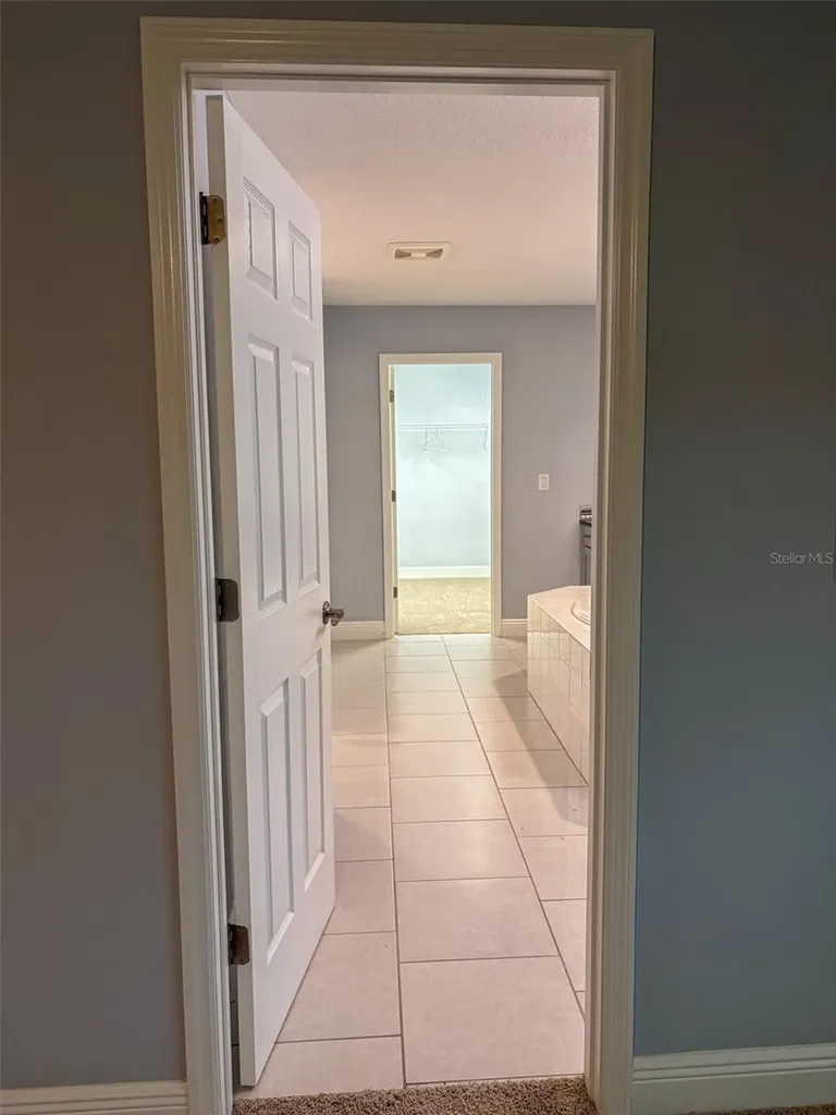 12860 Satin Lily Drive Riverview FL 33579