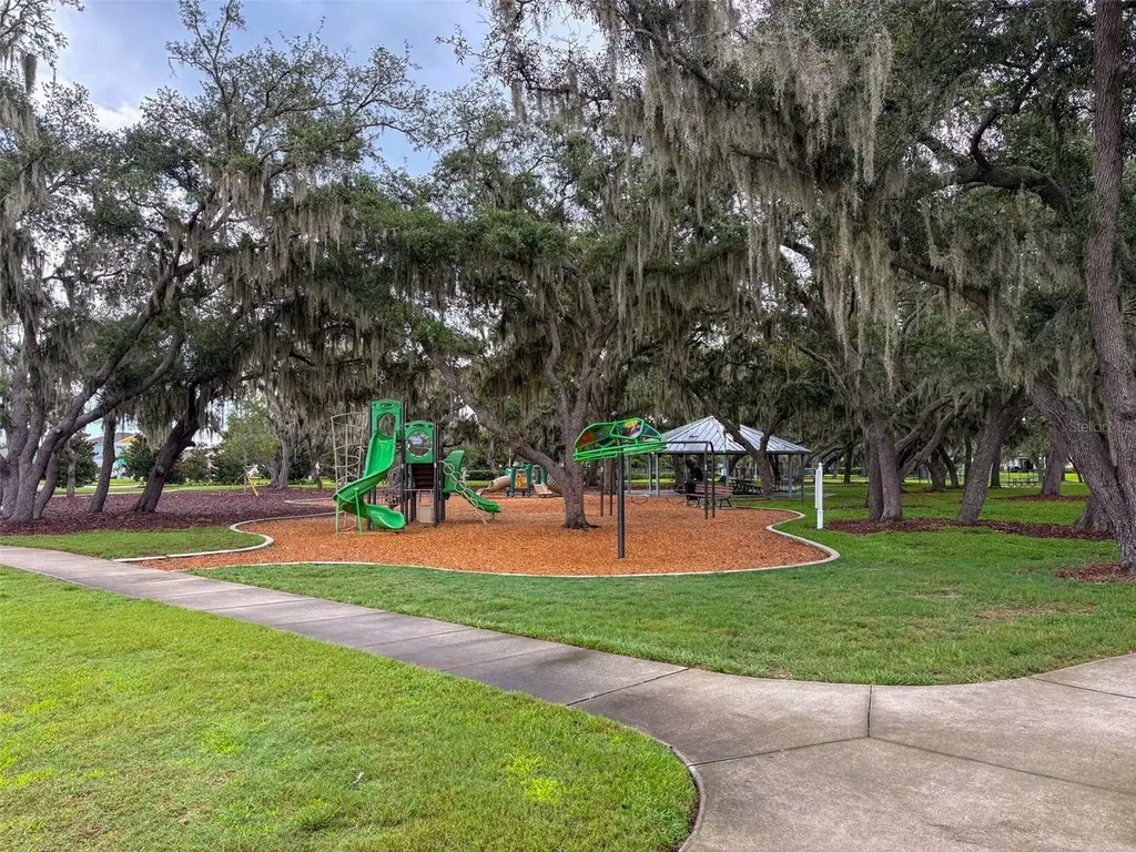 12860 Satin Lily Drive Riverview FL 33579
