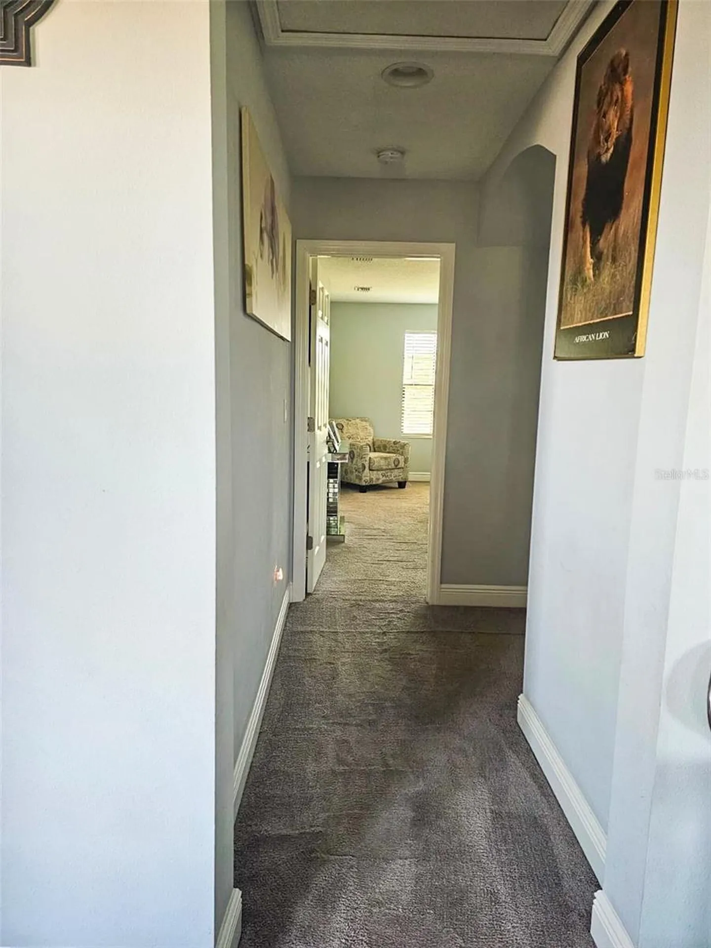 12860 Satin Lily Drive Riverview FL 33579