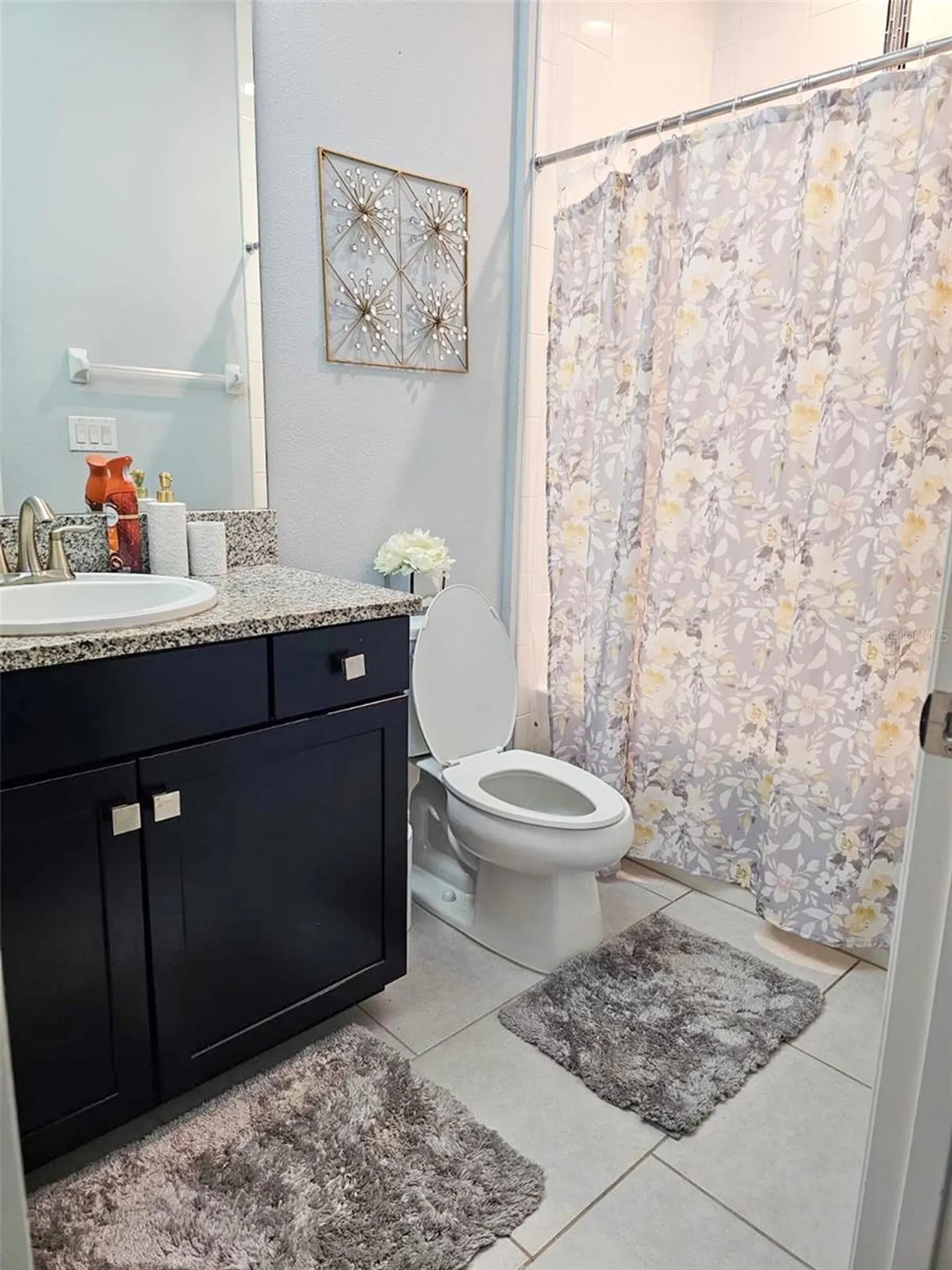 12860 Satin Lily Drive Riverview FL 33579