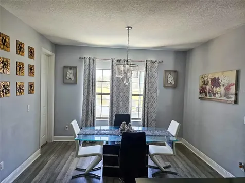 12860 Satin Lily Drive Riverview FL 33579