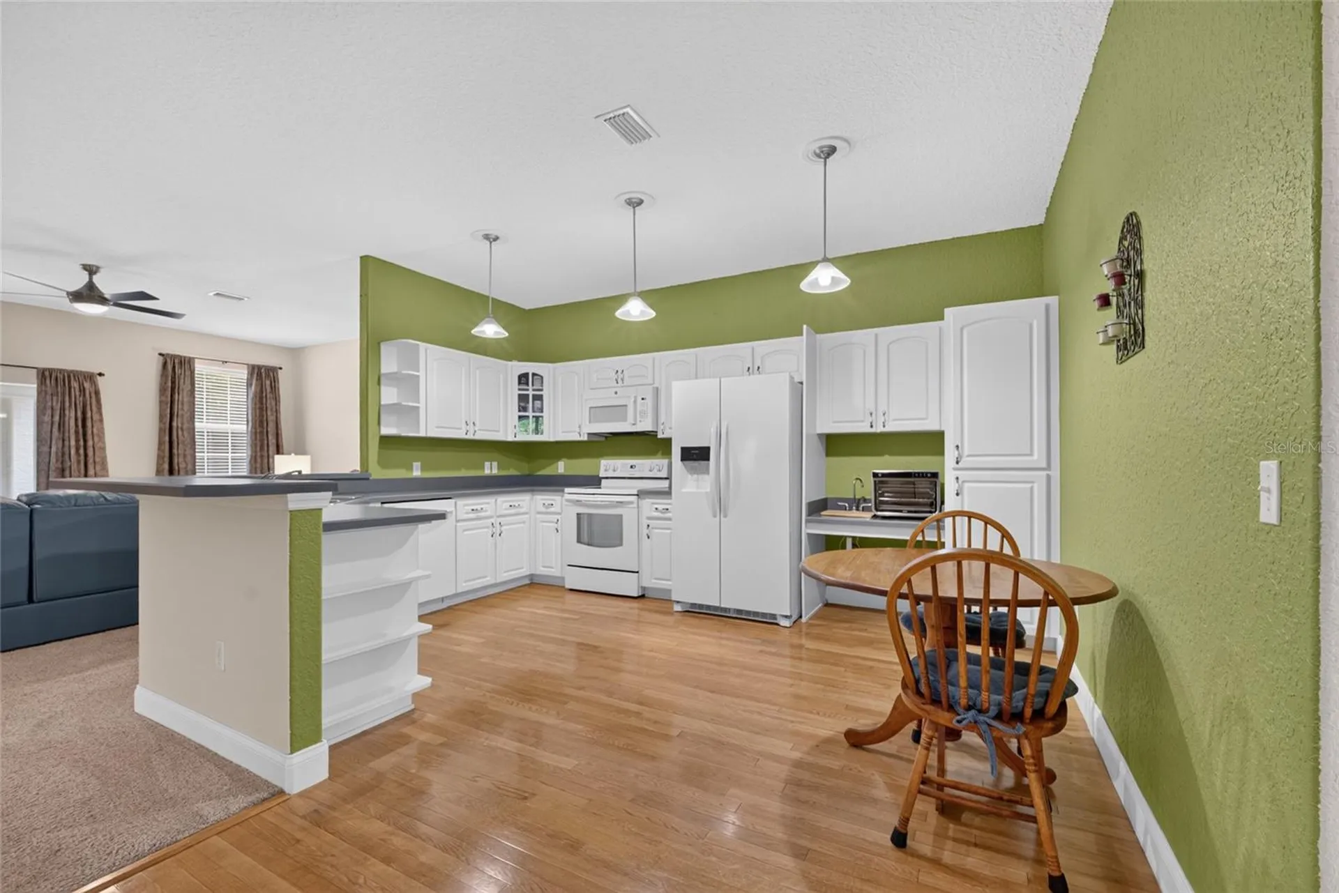 3788 SE 133rd Place Belleview FL 34420