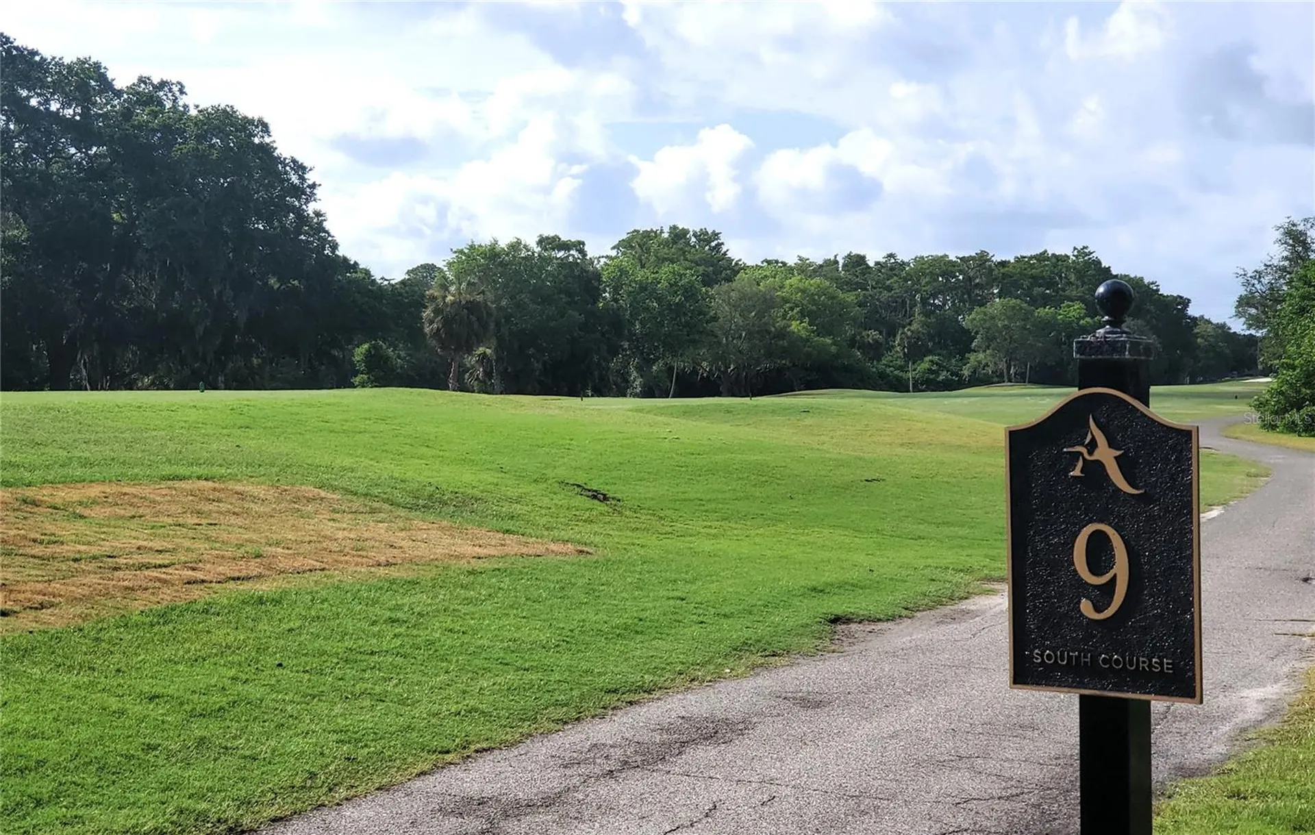100 Water Oak Way Oldsmar FL 34677