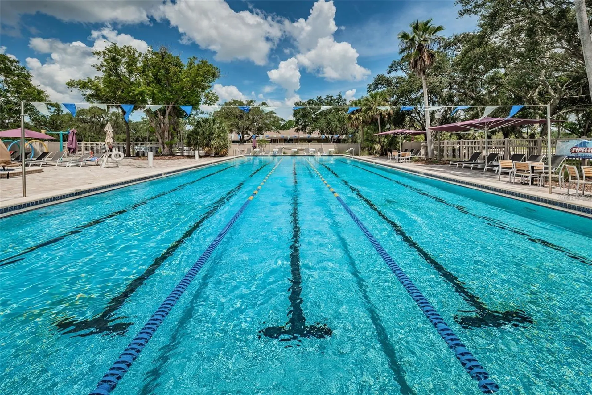 100 Water Oak Way Oldsmar FL 34677