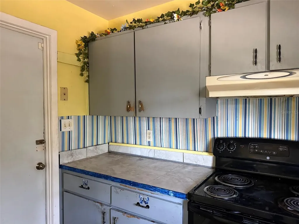 1306 Dukes Drive Tarpon Springs FL 34689