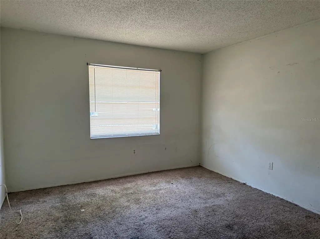 1306 Dukes Drive Tarpon Springs FL 34689