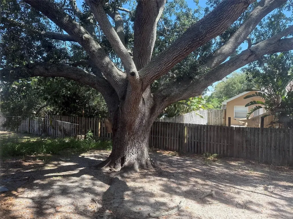 1306 Dukes Drive Tarpon Springs FL 34689