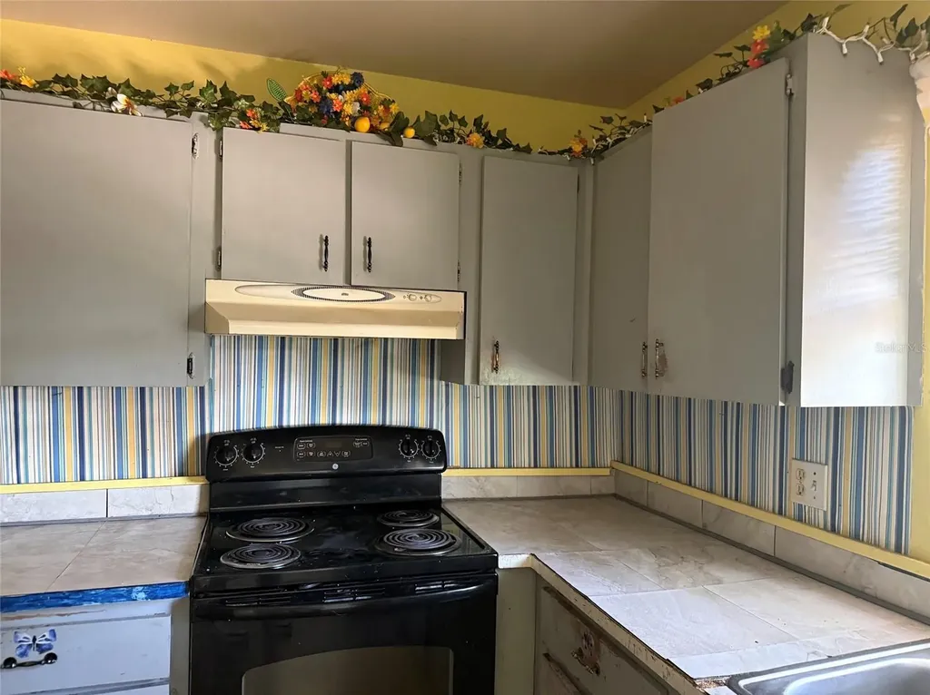 1306 Dukes Drive Tarpon Springs FL 34689