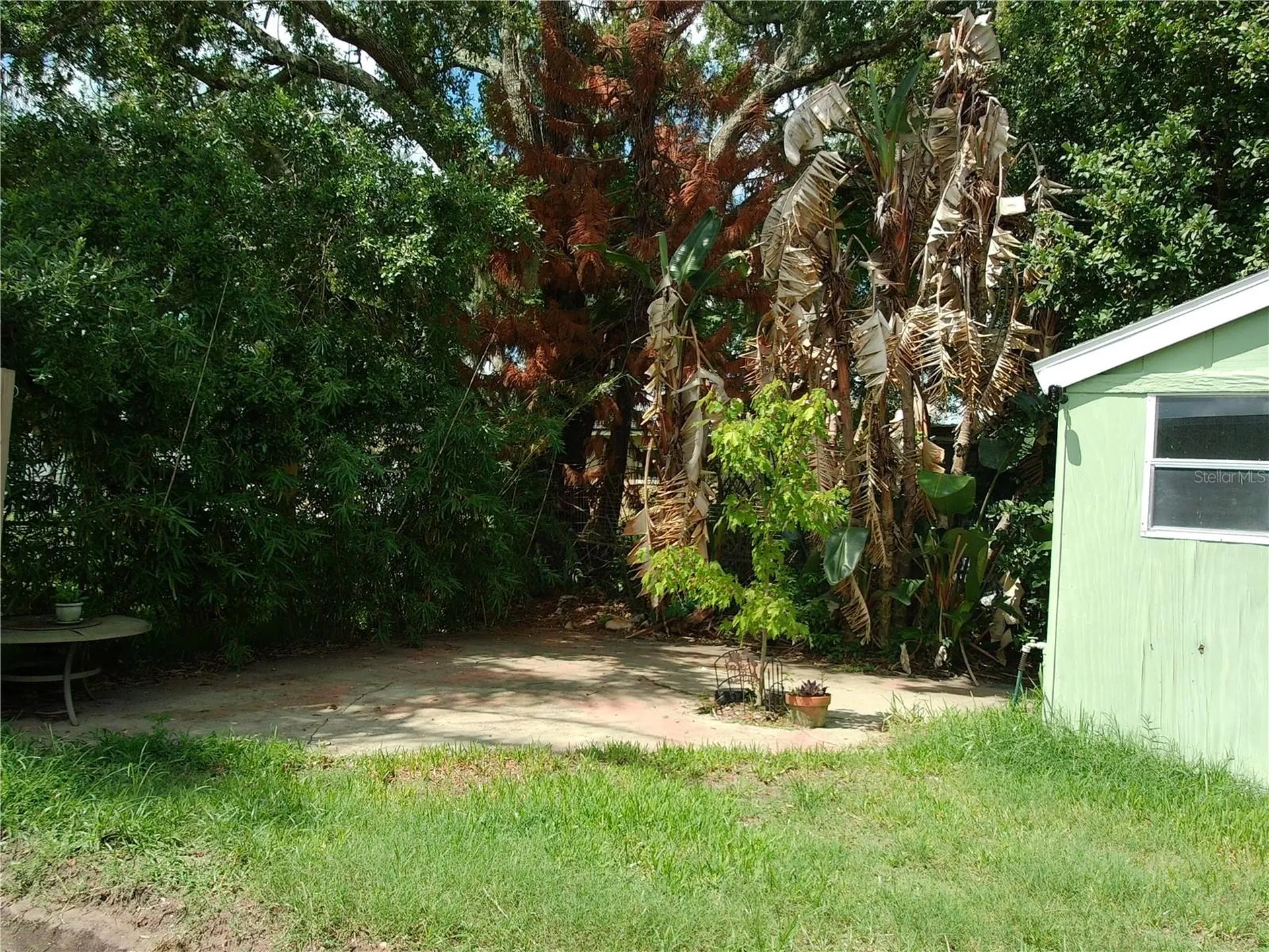464 Judy Street New Smyrna Beach FL 32168