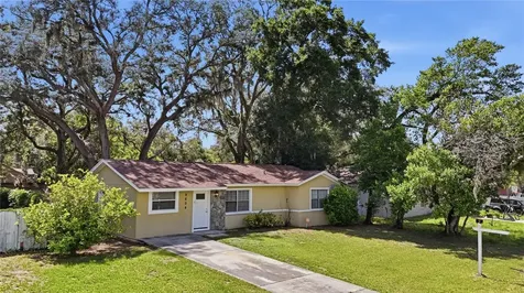 9804 N Elmer Street Tampa FL 33612