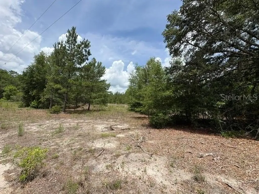 2793 W Waycormon Court Dunnellon FL 34433