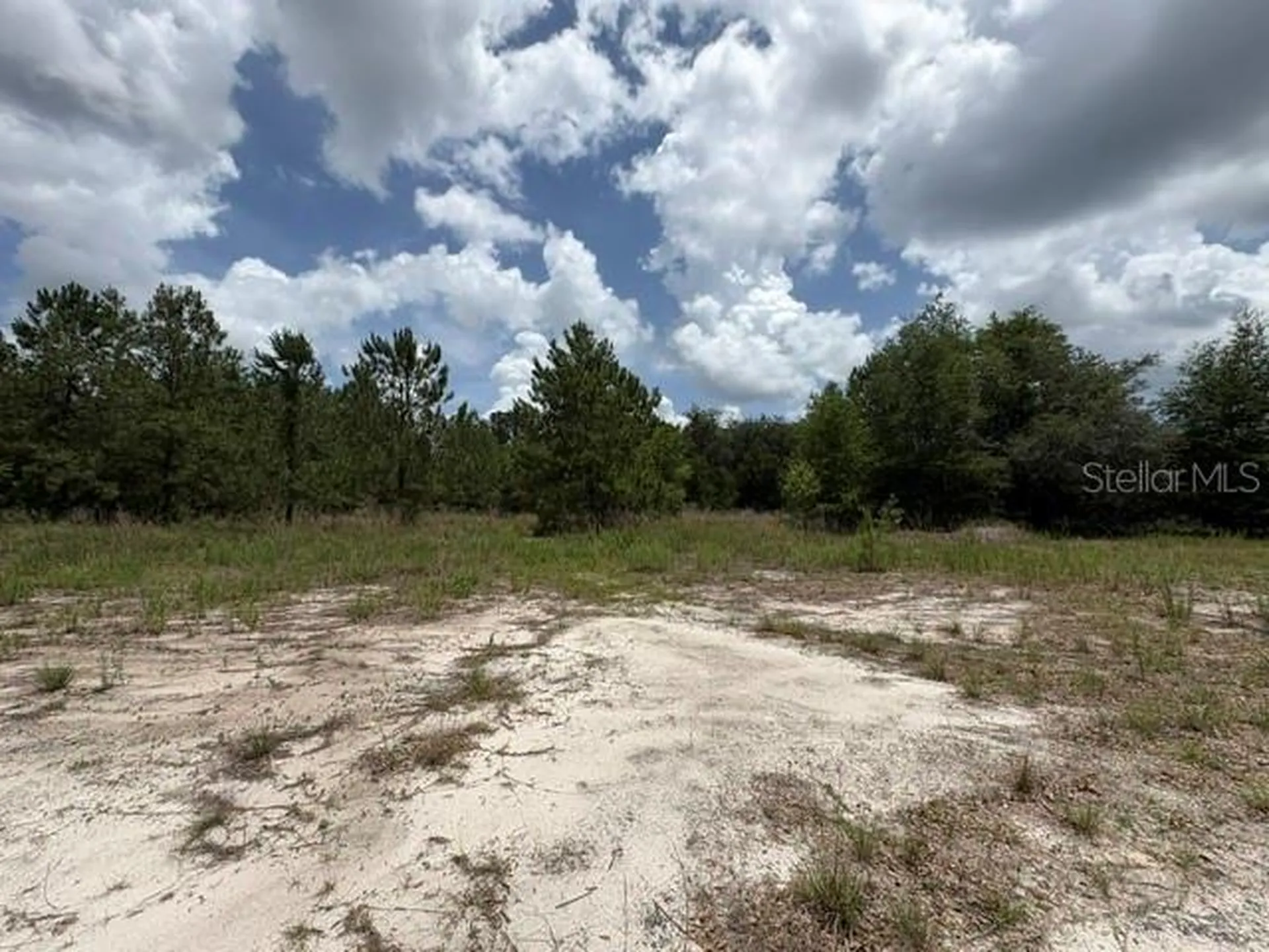 2793 W Waycormon Court Dunnellon FL 34433