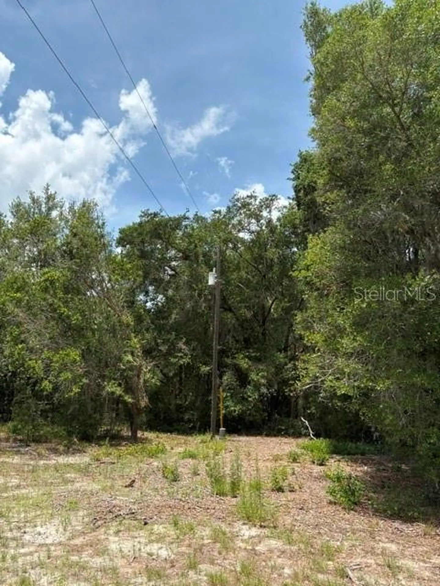 2793 W Waycormon Court Dunnellon FL 34433