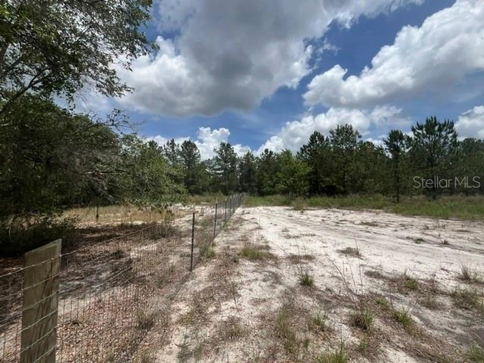 2793 W Waycormon Court Dunnellon FL 34433