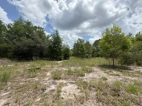 2793 W Waycormon Court Dunnellon FL 34433
