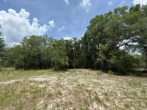 2793 W Waycormon Court Dunnellon FL 34433