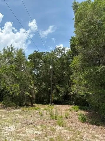 2793 W Waycormon Court Dunnellon FL 34433