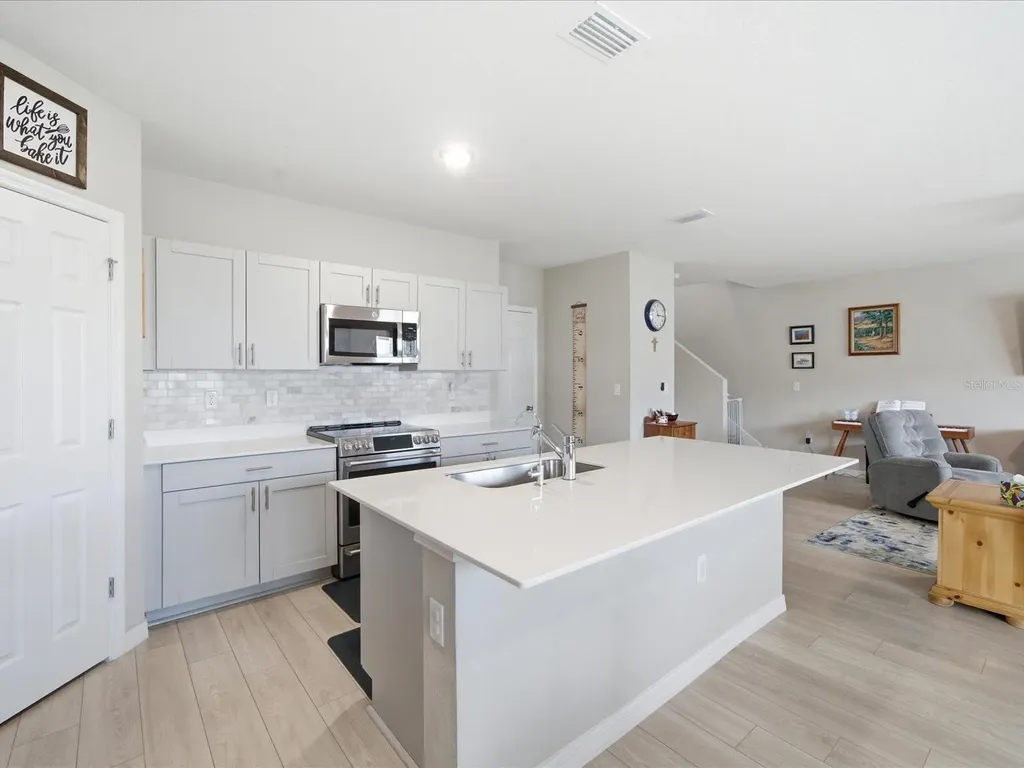 34149 Scarlet Sage Court Wesley Chapel FL 33545