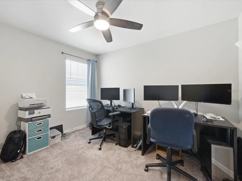 34149 Scarlet Sage Court Wesley Chapel FL 33545
