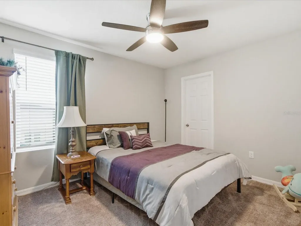 34149 Scarlet Sage Court Wesley Chapel FL 33545