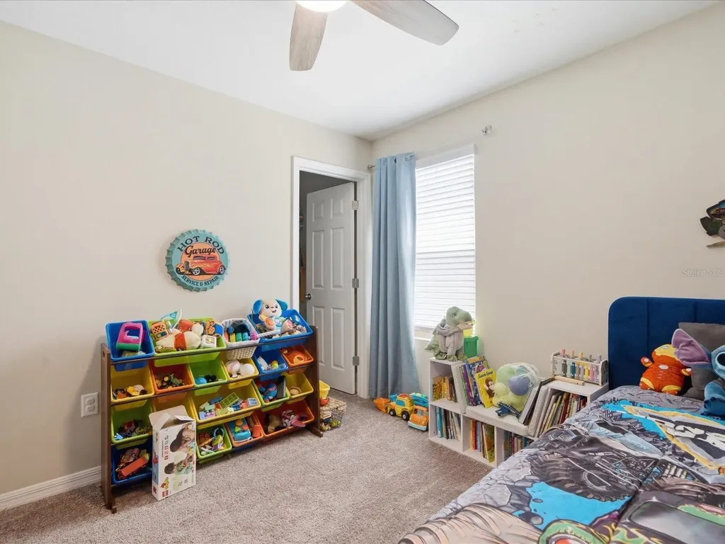34149 Scarlet Sage Court Wesley Chapel FL 33545