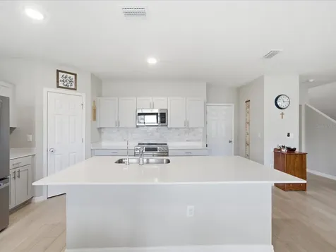 34149 Scarlet Sage Court Wesley Chapel FL 33545
