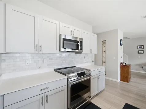 34149 Scarlet Sage Court Wesley Chapel FL 33545
