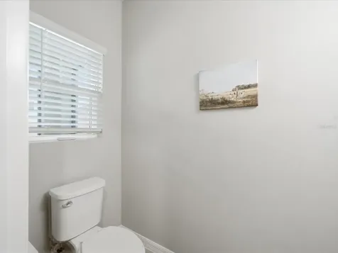 34149 Scarlet Sage Court Wesley Chapel FL 33545